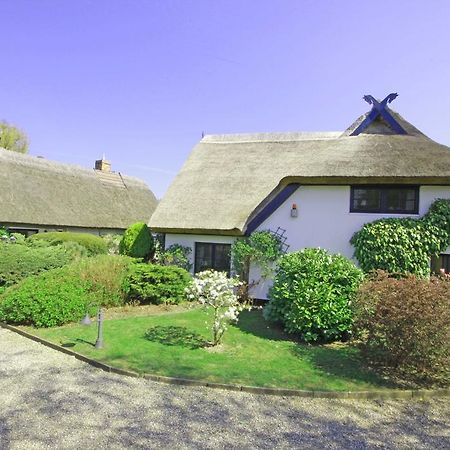 Landhaus Darss Wieck Zewnętrze zdjęcie