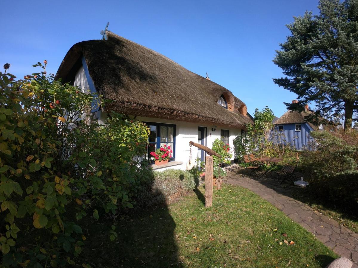 Landhaus Darss Wieck Zewnętrze zdjęcie