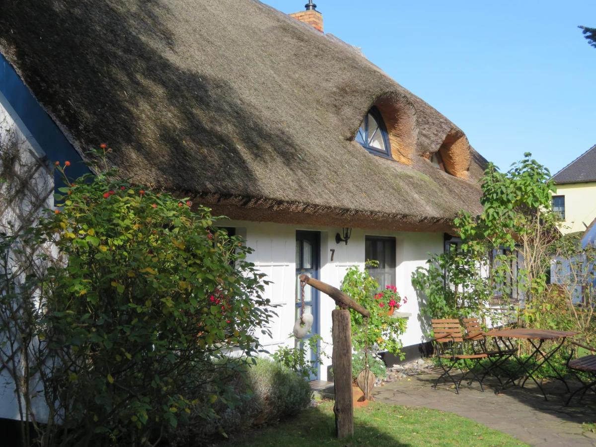 Landhaus Darss Wieck Zewnętrze zdjęcie