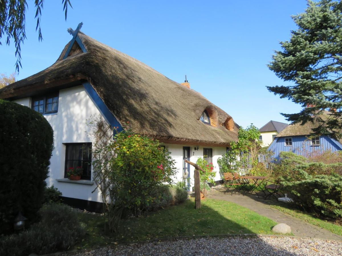 Landhaus Darss Wieck Zewnętrze zdjęcie