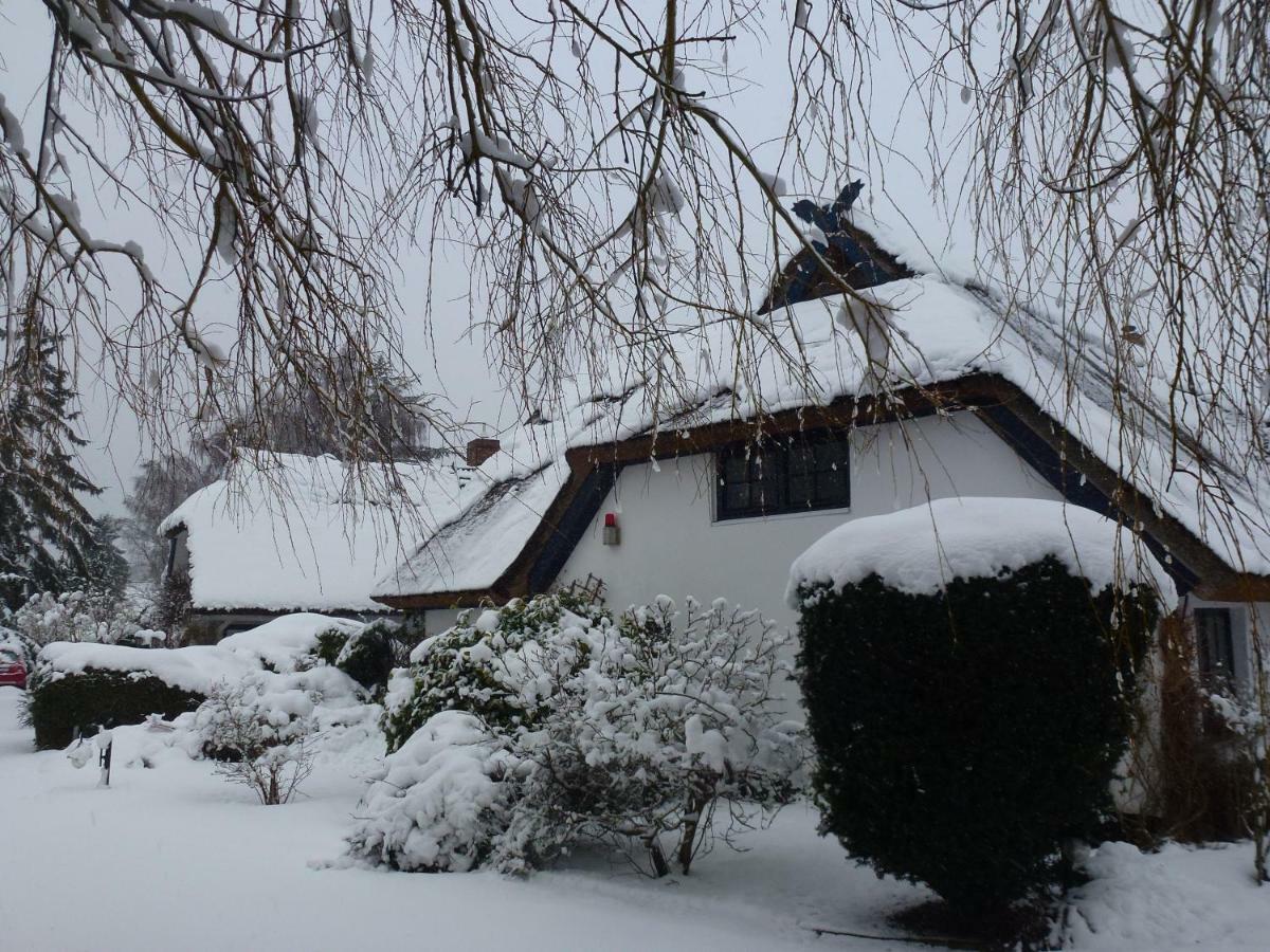 Landhaus Darss Wieck Zewnętrze zdjęcie